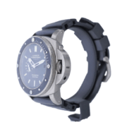 Augue adipiscing euismod – Image 2